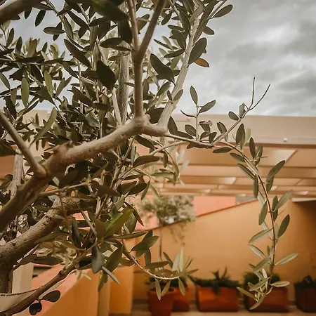 La Mansarda Degli Ulivi Appartamento *