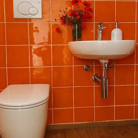 La Mansarda Degli Ulivi * Portoferraio